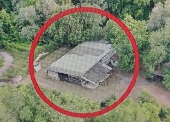 Baracca abusiva in via Tratturo, comitati cittadini ambiente: “Questo sarebbe condono?”