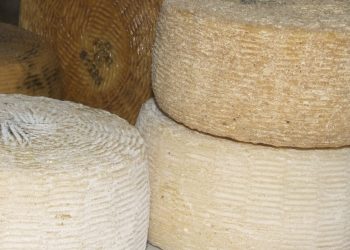 Al via il progetto Caseus, promosso dal parco nazionale del Gran Sasso e Monti della Laga