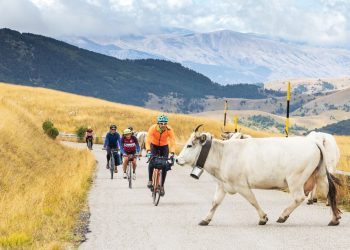 Alle porte la terza edizione di Nova Eroica Gran Sasso: ciclisti da tutto il mondo con bici