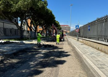 Masci risponde a Costantini sul progetto di via Doria in corso di realizzazione