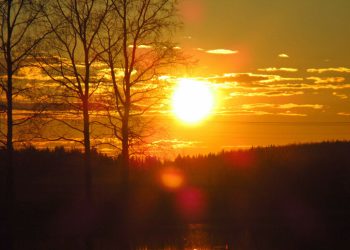 Temperature alte: Come combattere il caldo estivo in dieci mosse