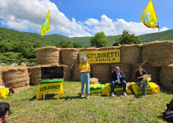 Assemblea Coldiretti giovani a Capistrello, tra festa della tosatura e olimpiadi contadine (fotogallery)