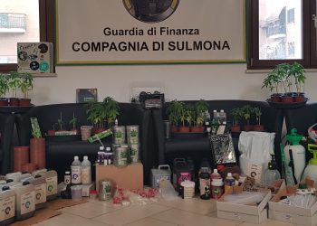 Serra con vasi di marjuana e laboratorio per il confezionamento, arrestato “imprenditore” della droga