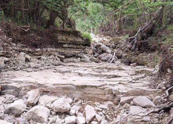 Torrente Rio Verde a secco da una settimana nell’oasi Wwf a Borrello