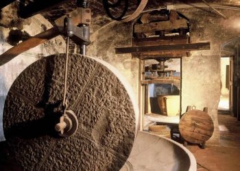 Pnrr, Imprudente: oltre 5 milioni di euro per ammodernamento dei frantoi oleari