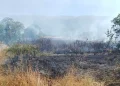 Incendio vicino deposito militare, dieci ettari di terreno in fumo e 30mila euro di danni