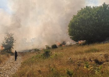 Accende fuochi d’artificio e incendia la pineta, in fumo ettari di bosco
