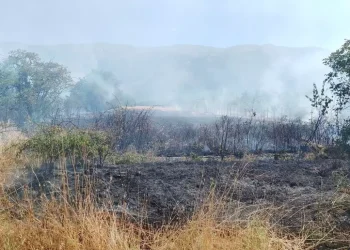 Incendio vicino deposito militare, dieci ettari di terreno in fumo e 30mila euro di danni