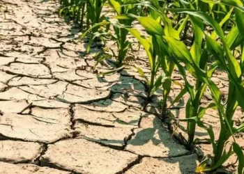 L’Abruzzo, Regione Verde d’Europa, è fragile: rischia siccità e desertificazione