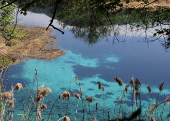Tutela e gestione di specie e habitat, la Regione Abruzzo fugge dalle responsabilità e sfida il ridicolo