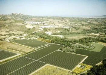 Da Essilux parco solare in Abruzzo, è il primo del gruppo