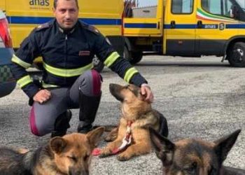 La polizia di Stato in campo contro l’abbandono degli animali: “Se non ti porto non parto” (video)