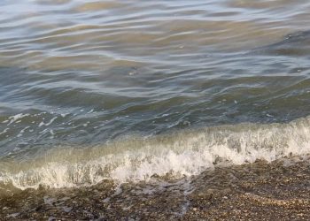 Emergenza mucillagine nel mare abruzzese, De Poli: “Governo intervenga subito con ristori”