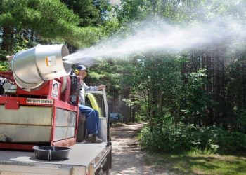 Secondo intervento di demuscazione all’Aquila per la stagione 2024