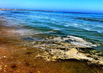 Imprudente, Attenzione massima per superare il fenomeno mucillagine insieme alle altre Regioni