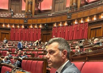 Credito d’imposta: “Bene fitto su Zes, dati confermano pretestuosità polemiche di sinistra”