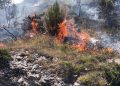 Rogo sulle colline di Raiano, volontari in azione, il Comune: situazione in fase di risoluzione (fotogallery)