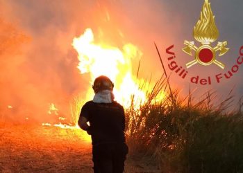 Incendi boschivi in estate, arrivano i rinforzi per i vigili del fuoco