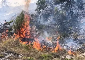 Fiamme sul monte Urano, la foresta brucia da tre giorni: in fumo 60 ettari di bosco
