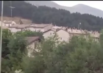 Orso filmato e messo in fuga, scattano ordinanze e controlli