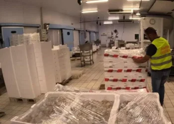 Sequestrati mille e cinquecento chili di pescato non tracciabile