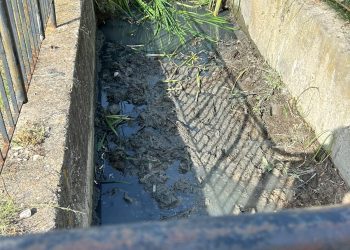 A Roseto avviati i lavori di pulizia del canale di scolo di viale Makarska