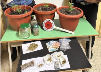 A Torre de’ Passeri arrestato un uomo per produzione e spaccio di droga