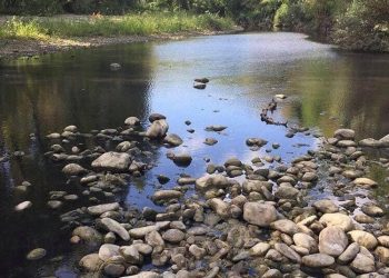 Riserva Naturale Bosco di don Venanzio