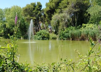 Nuove polemiche a Chieti sulla gestione degli invasi: Wwf fa chiarezza su laghetti Villa Comunale