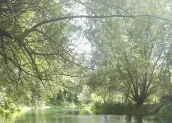 La Guardia di finanza sequestra l’impianto chimico di un’azienda a Bussi sul Tirino