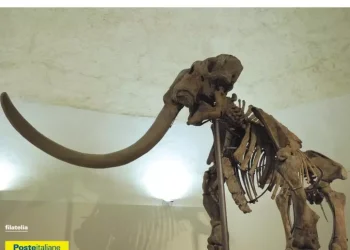 Annullo filatelico sul Mammut per i 70 anni dal ritrovamento