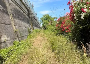 Omicidio Thomas a Pescara, depositata la relazione dell’autopsia