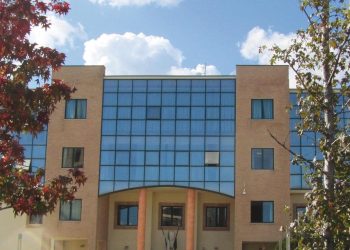 Il Comune di Roseto chiede a Regione Abruzzo di revocare la delibera sull’abbattimento cervi