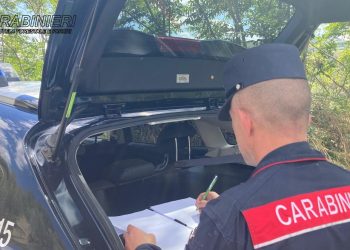 Sorpreso dai carabinieri forestali mentre cerca tartufi, multato