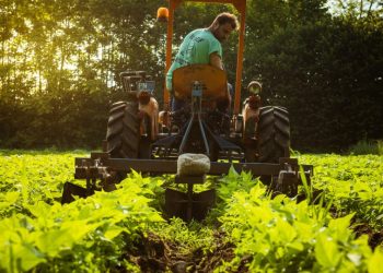 Agricoltura: L’Abruzzo in agris su Nomina Fitto, rafforza settore agricolo regionale