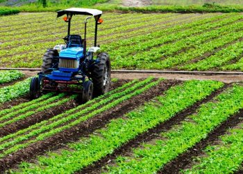 Fondi Peronospora, Lega Ortona: stanziamenti in arrivo grazie a D’Eramo e Imprudente
