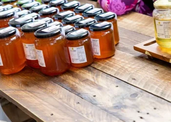 Regione Abruzzo, nuovo bando per la promozione dell’apicoltura