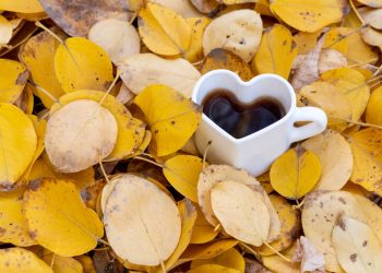 Cambio di stagione, i consigli per sostenere le difese immunitarie in autunno