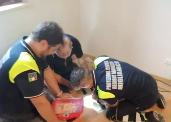 Gattini intrappolati da una settimana sotto un edificio, sono salvi