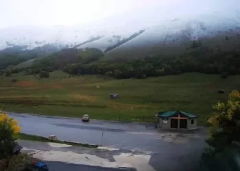 Cade mentre raccoglie funghi in montagna, grave 89enne