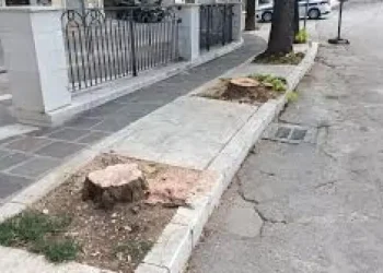 Tigli a supporto delle torri per le luci, protesta a Sulmona