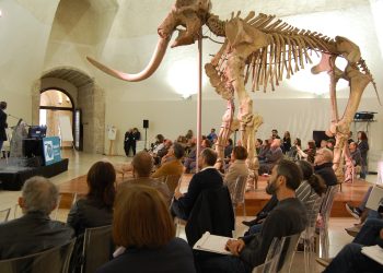 Sold out al Castello Cinquecentesco per il  convegno di studi sul Mammut