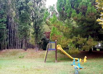 Il movimento “Pettinari per l’Abruzzo” critica il Comune di Montesilvano per la situazione del Parco Antonilli