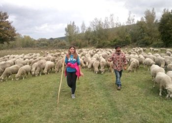Premio letterario “Il Tratturo Magno”, un percorso di sviluppo tra Abruzzo, Molise e Puglia