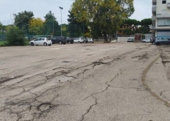 Viabilità a Roseto, Felicioni: Caos e incuria totale nella zona sud