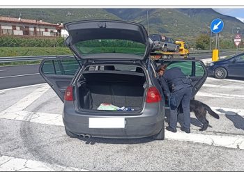 Controlli sulla Statale che sale al Parco nazionale d’Abruzzo: ritirate patenti di guida