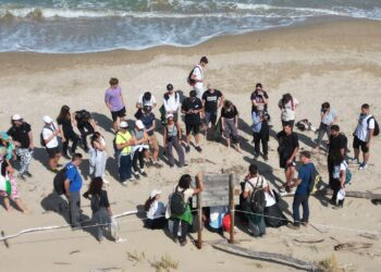 Cittadini e associazioni della Riserva Borsacchio chiedono di essere auditi in Commissione Ambiente