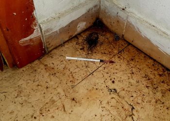 Siringhe, auto bruciate e occupazioni abusive: Pettinari denuncia situazione di via Aldo Moro