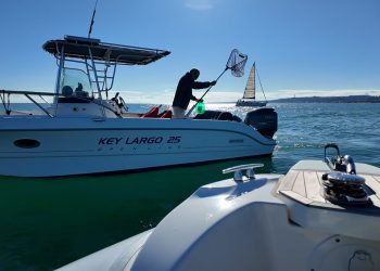 “Pescato” un aspirapolvere nel fiume Pescara: recuperati 60 kg di rifiuti