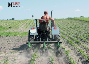 Agricoltura, gasolio agricolo agli sgoccioli: “La Regione acceleri i tempi”